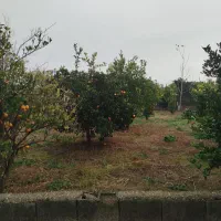 زمین برا ساخت خانه باغ واقع در دونه سر