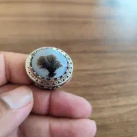 انگشتر شجر عتیقه