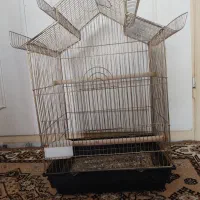 قفس پرنده