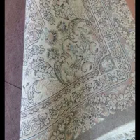 دو جفت گردویی ۱۲ متری سالم|فرش|بجنورد, |دیوار