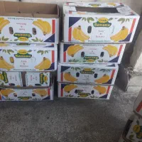 فروش تعدادی کارتن خالی جهت اسباب کشی|حراج|شیراز, شهرک امیر کبیر|دیوار