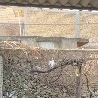 اجر کارکرده