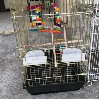 قفس|لوازم جانبی حیوانات|زابل, |دیوار