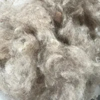 پشم گوسفندی تمیز و ریسیده شده کیلویی ۲۵۰ هزار تومن
