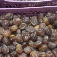 خرما و رطب برحی