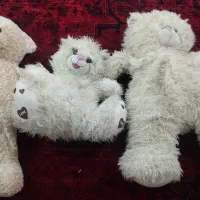 عروسک شاسخین