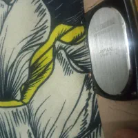 ساعت ژاپنی دوموتوره|ساعت|بهبهان, |دیوار