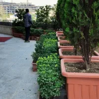 خدمات انواع گل و گیاه