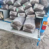 کشمش|عمده‌فروشی|تاکستان, |دیوار