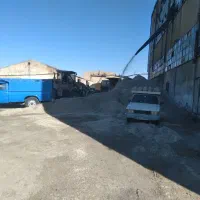 تفاله چغندر دونم تحویل در دامداری