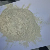 بنتونیت میکرونیزه