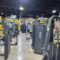 انیکس پل تمدن