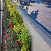 خدمات باغبانی باغچه کاری گلکاری هرس کاری بیل زنی