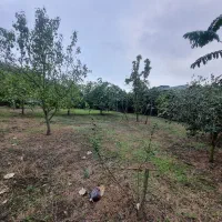 زمین با کاربری مسکونی ۴۰۳متر در نصرت آباد|فروش زمین و ملک کلنگی|حویق, |دیوار