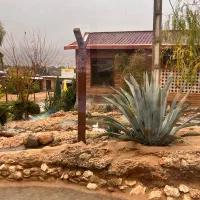 نیروی تاسیسات