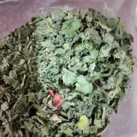 گل پنیرک چیده شده ازکوههای تبریز۷۰تومن