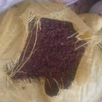 کشمش درجه یک آبگیری