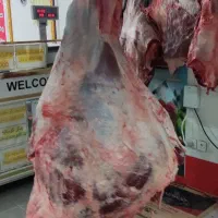 کله پاچه چربی جگر|خوردنی و آشامیدنی|بجنورد, |دیوار