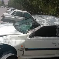 پژو پارس ساده، مدل ۱۳۸۸