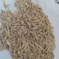 جو بذری و دامی تمیز
