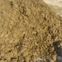 کود گاوی درجه یک وخاک باغچه|خدمات باغبانی و درختکاری|چناران, |دیوار