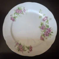 بشقاب گل سرخی|ظروف سرو و پذیرایی|اصفهان, باغ فدک|دیوار