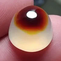 کلکسیون باباقوری یاقوت زمرد سنگای شجر