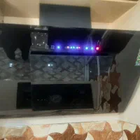 هود و گاز5شعله اخوان کاملا سالم و در حدنو
