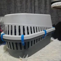 باکس گربه و سگ|لوازم جانبی حیوانات|رشت, علی آباد|دیوار