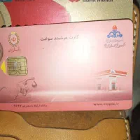 تعدادی مدارک پیدا شده