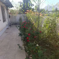 فروش 5250متر گلخانه بر اتوبان جاده بیستون|فروش دفتر صنعتی، کشاورزی، تجاری|کرمانشاه, |دیوار