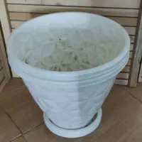 ۴۲ گلدان|گل و گیاه طبیعی|شیراز, شهرک گلدشت حافظ‎|دیوار