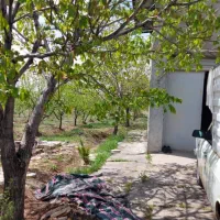 ۲هکتار باغ بر اتوبان تهران به زنجان معاوضه باماشین