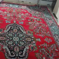 دو عدد فرش یه ۱۲ متری ۲عدد ۶ متری|فرش|دزفول, |دیوار