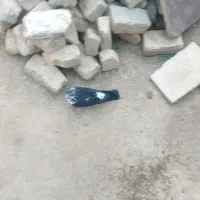 کبوتر پرشی