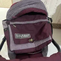 کریر دلیجان