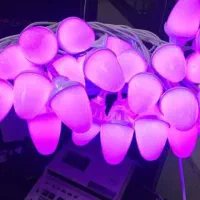 اجره مشعل فرش قرمز ریسه پرژکتو باند|خدمات پذیرایی، مراسم|زنجان, |دیوار