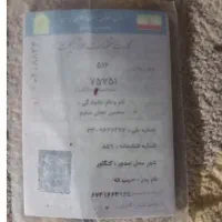 پلاک متور افتاده گم شده