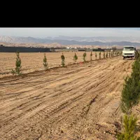 باغ باغچه زمین ۵۶۶ متری فروشی یا معاوضه با پژو۴۰۵|فروش زمین و ملک کلنگی|مشهد, عبادی|دیوار