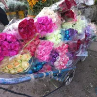 دسته گل مراسمات|گل و گیاه طبیعی|قم, زنبیل آباد|دیوار