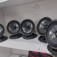 انواع میدرنج با قیمت ۱۸۰۰