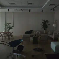 فروشنده خانم یا اقا