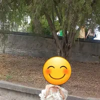 لباس مجلسی بچگانه نو