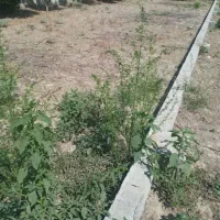 فروش-زمین-در-سر-خط-اصلی-روستا