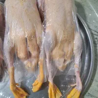 اردک