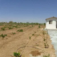 فروش زمین 2000 متری تاکستان معاوضه و شرایطی|فروش زمین و ملک کلنگی|تاکستان, |دیوار