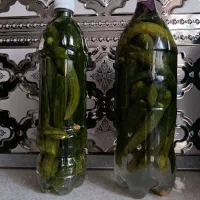 محصولات خانگی