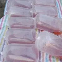 انواع ماهی قرمز ارسال  به سرتاسر کشور|ماهی|رودبنه, |دیوار