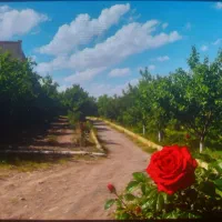 باغ ۸۶۰ مترکاربری مسکونی بر ۳۵ متری