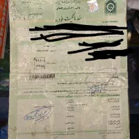 شناسنامه ومدارک گمشده